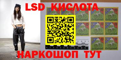 гидропоника Бийск