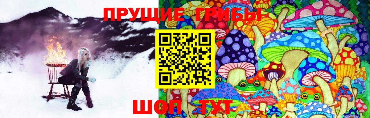 Псилоцибиновые грибы Psilocybine cubensis Берёзовский